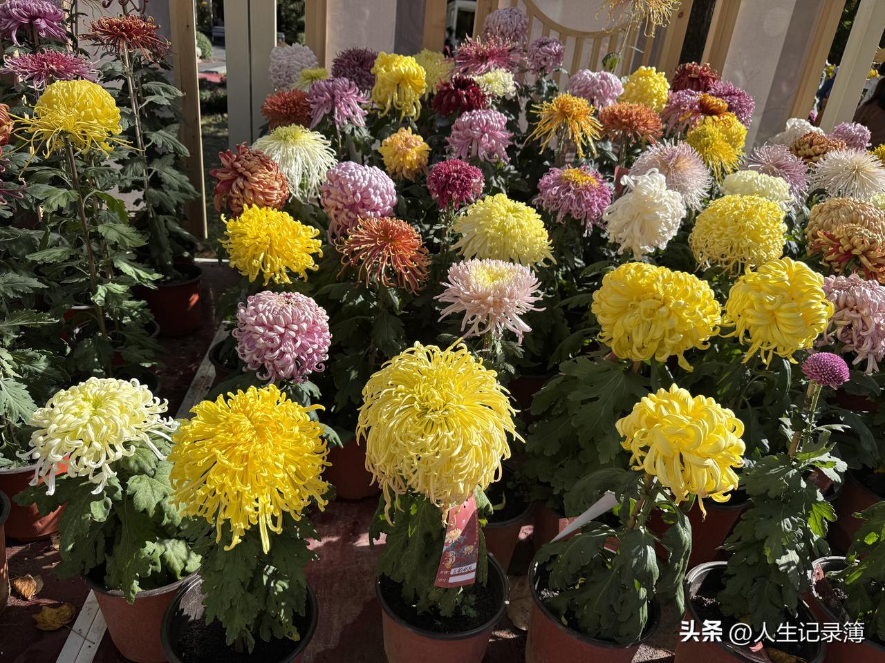 我们退休后总说：我们退休真好，看着孩子累，孩子卷，很心疼的。
@豆包 帮我点评