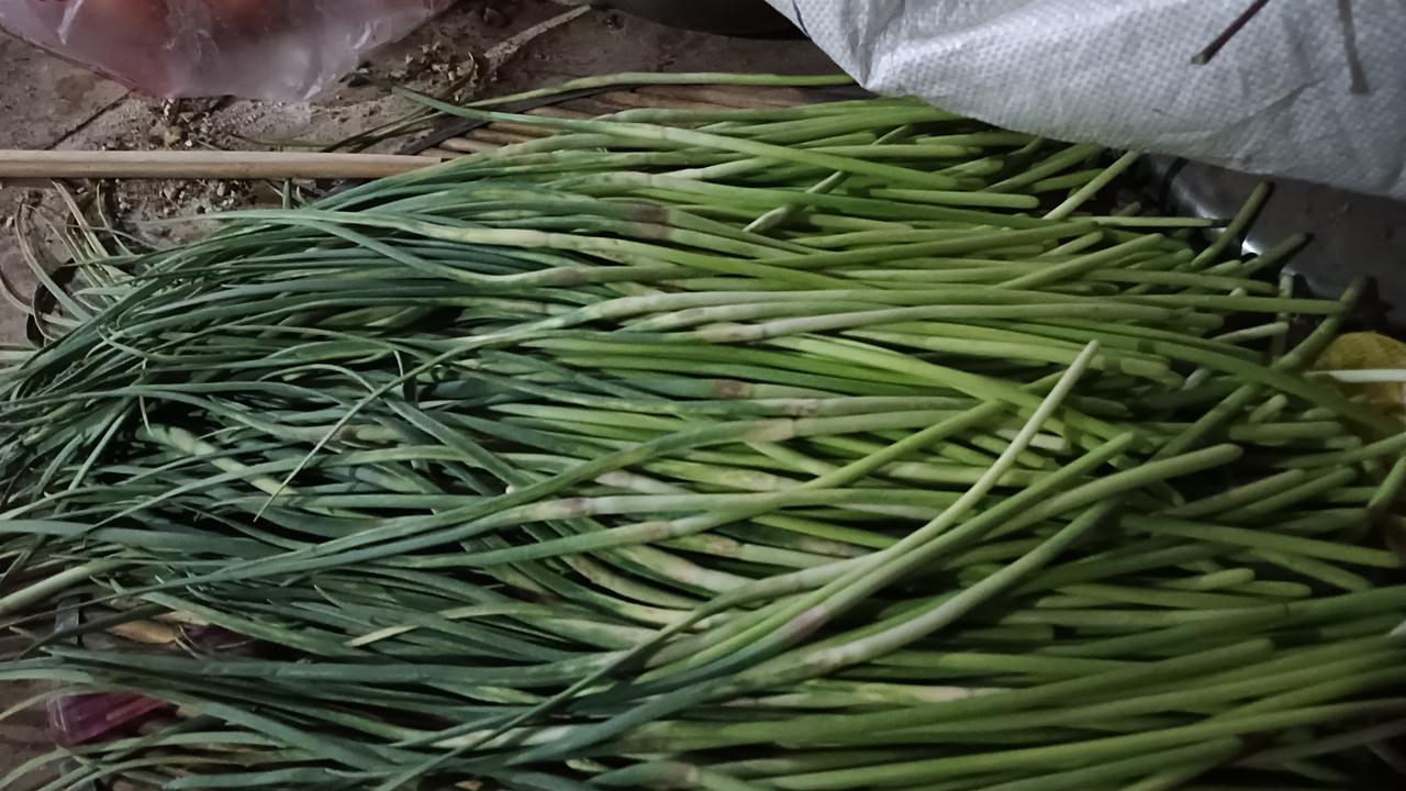 什么？蒜苔一斤0.25元，这蒜苔还能卖吗？

前三天，蒜苔0.89元，我媳妇没在