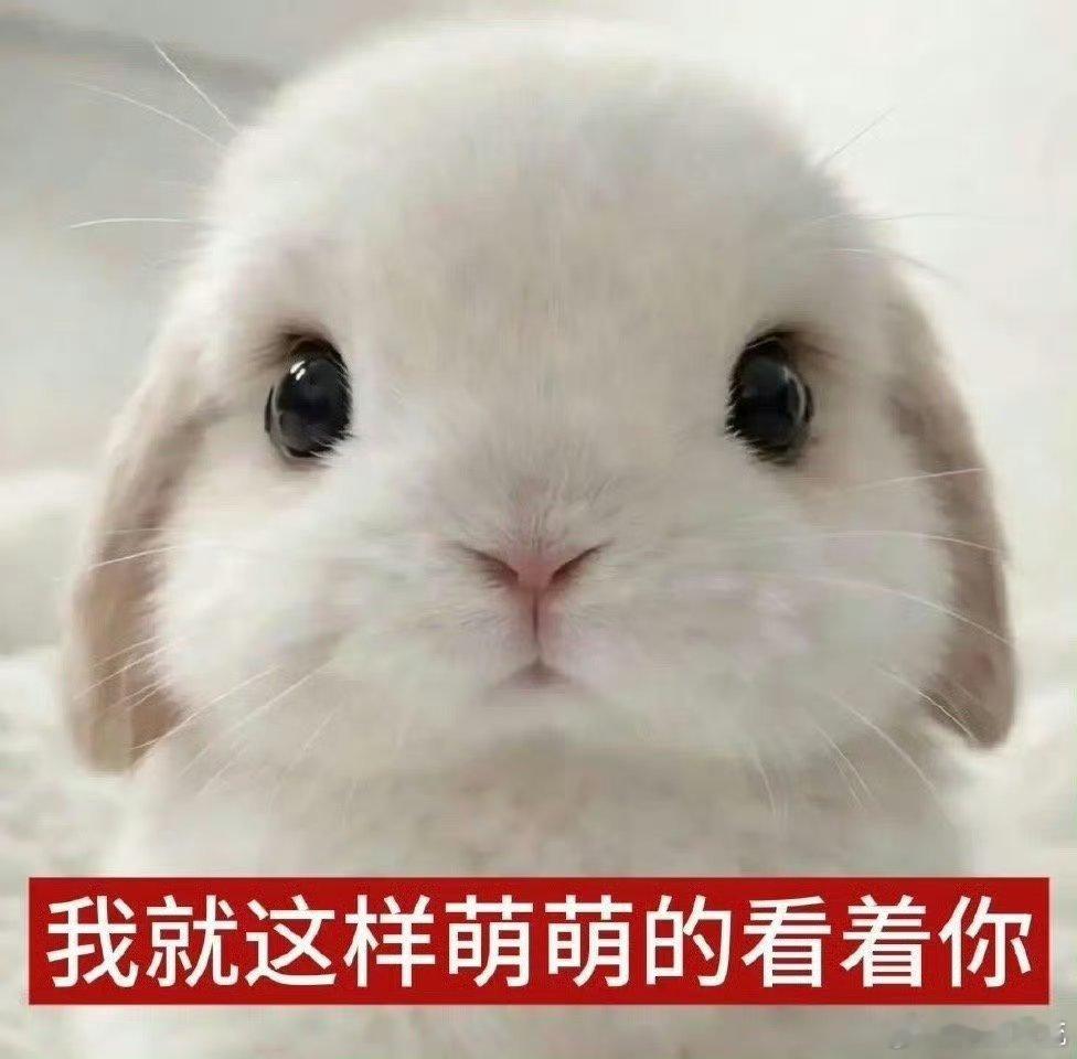 耿女士会不会再加把🔥杀🐷2.0，耿女士杀🐷是专业的[便便]等月中轻奢内裤在