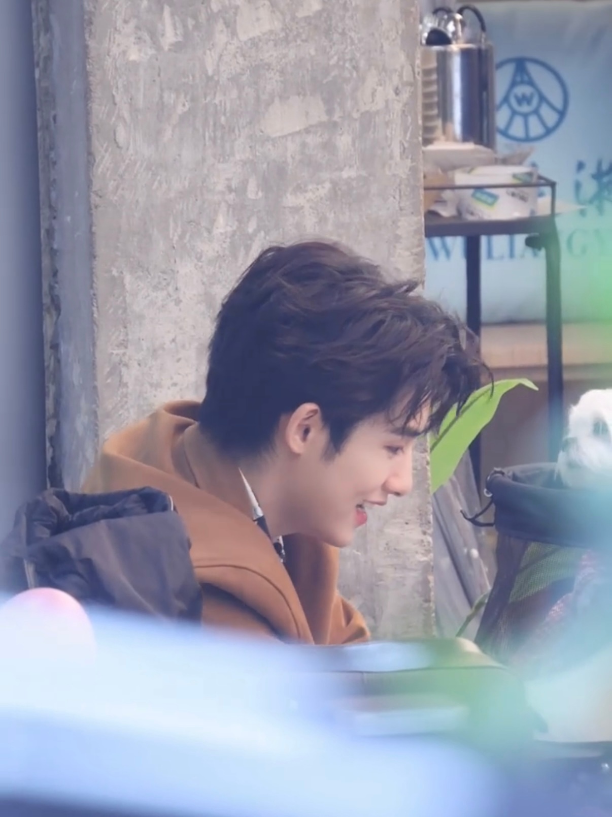 董思成新综卷毛路透董思成卷毛冷脸萌 谁被董思成风华合伙人路透拿捏了！卷毛造型又帅