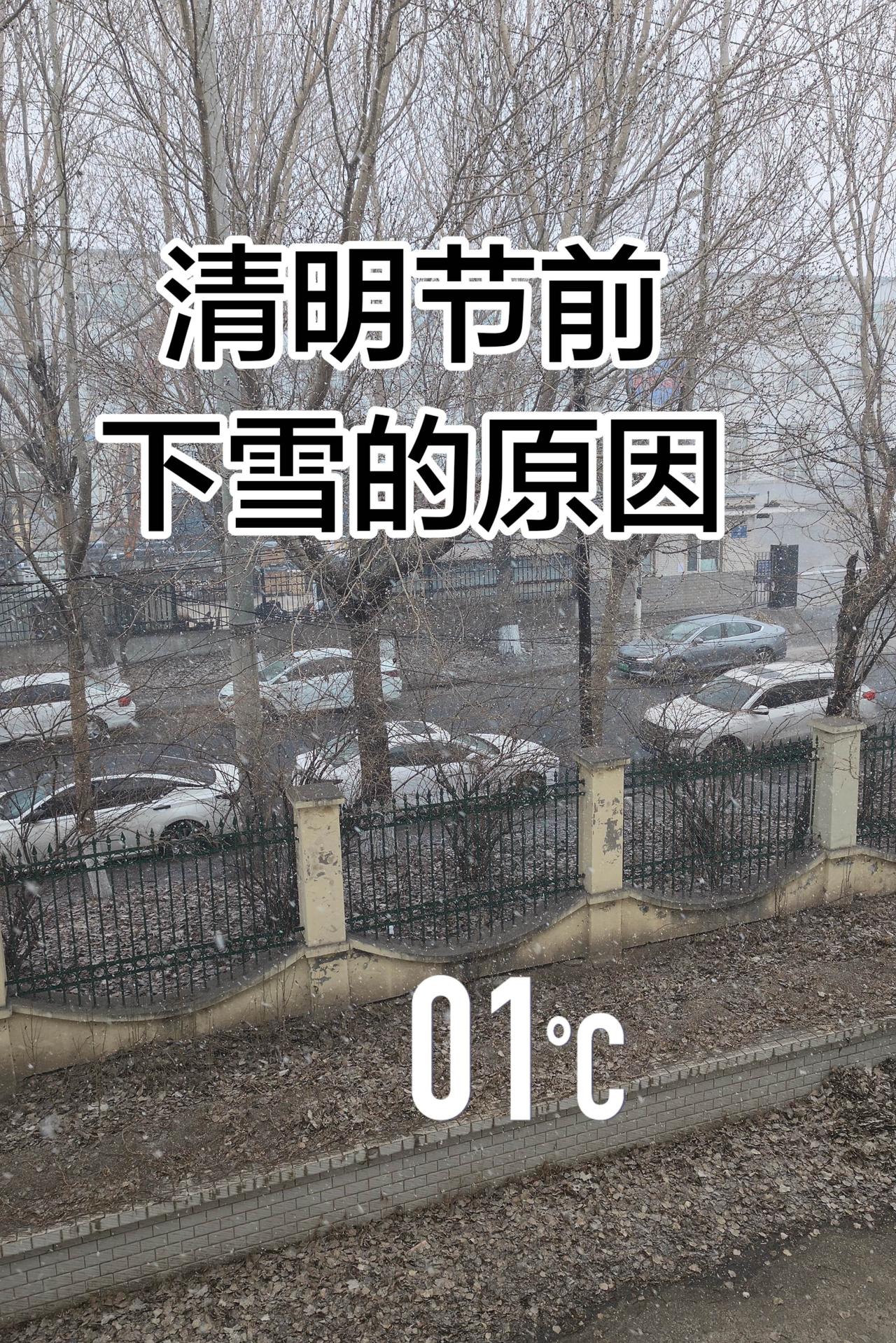 🌨️清明节前飘雪？1℃的北方春日太魔幻！❄️
🌬️冷空气突袭+暖湿气流碰撞，