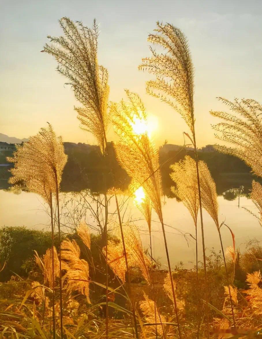 一半初见，一半期许·默斋主人原创歌词【主歌一】千年静院 谁在寺檐细数更阑静待相逢