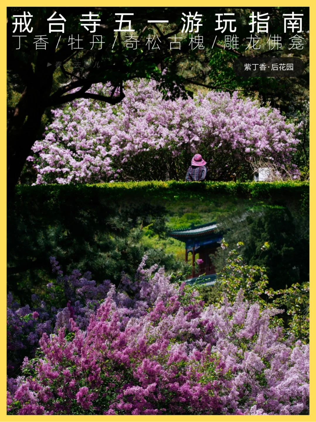 京郊探索 | 一些你不知道的戒台寺宝藏