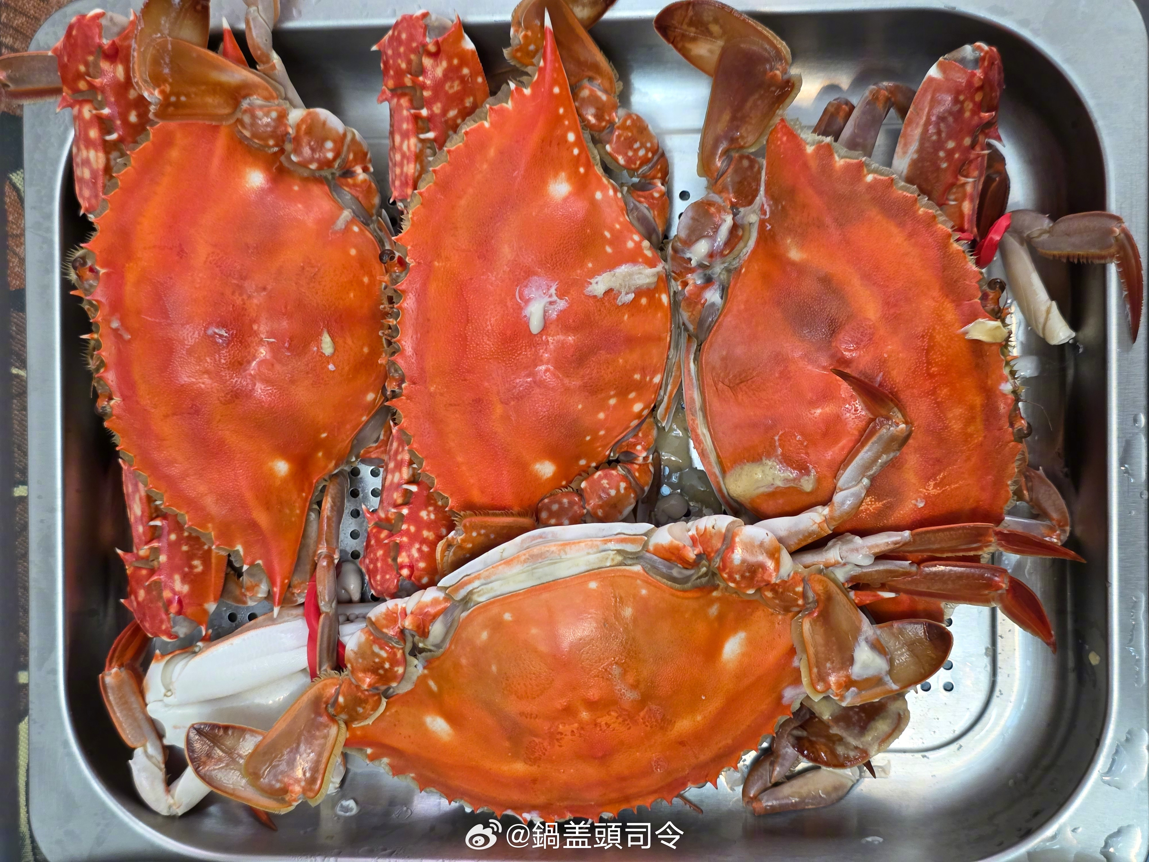 今天跟董事长鍋嫂和老大来大姨子家蹭饭。这大螃蟹和虾虎鲍鱼大虾看起来真肥啊！不过今