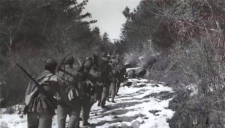 抗美援朝暖心轶事：军纪如山亦有情，一段被全网刷屏的乱世温情
 
1953年，志愿