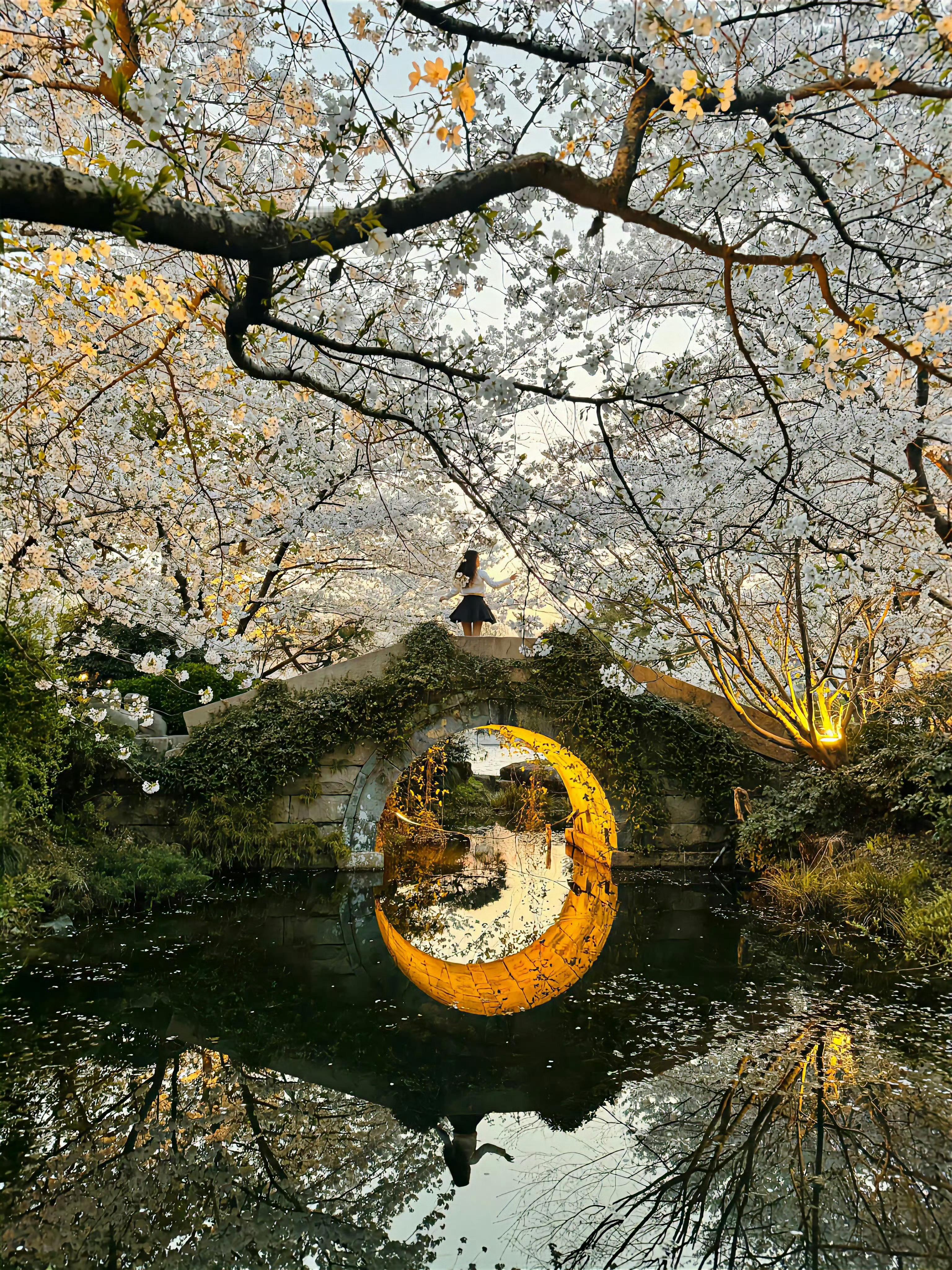 江南 ​ ​​​