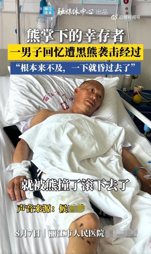 云南丽江，一男子上山采药，结果撞到了一头500斤的黑熊，男子被熊袭击后昏迷了大约