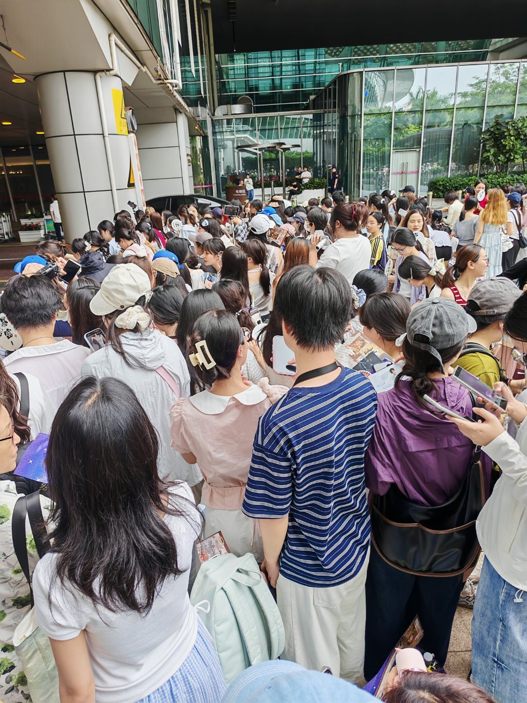 杨洋 今天羊毛的热情盖过了深圳的天气，然后我在别人的视频里居然看到了自己，哈哈哈