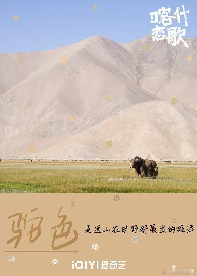 喀什恋歌溢出屏幕的生命力治愈所有内耗的南疆风光来了！古城巷陌藏着烟火，高原草原盛