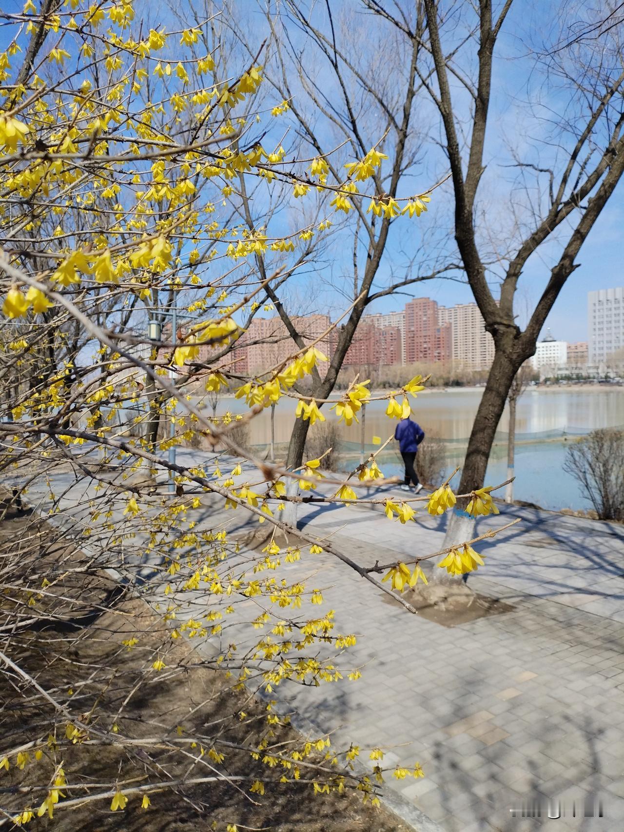 登山路
石径盘廻十八弯，
躬腰移步影蹒跚。
半山暂作歇息处，
请续句……
（抖擞