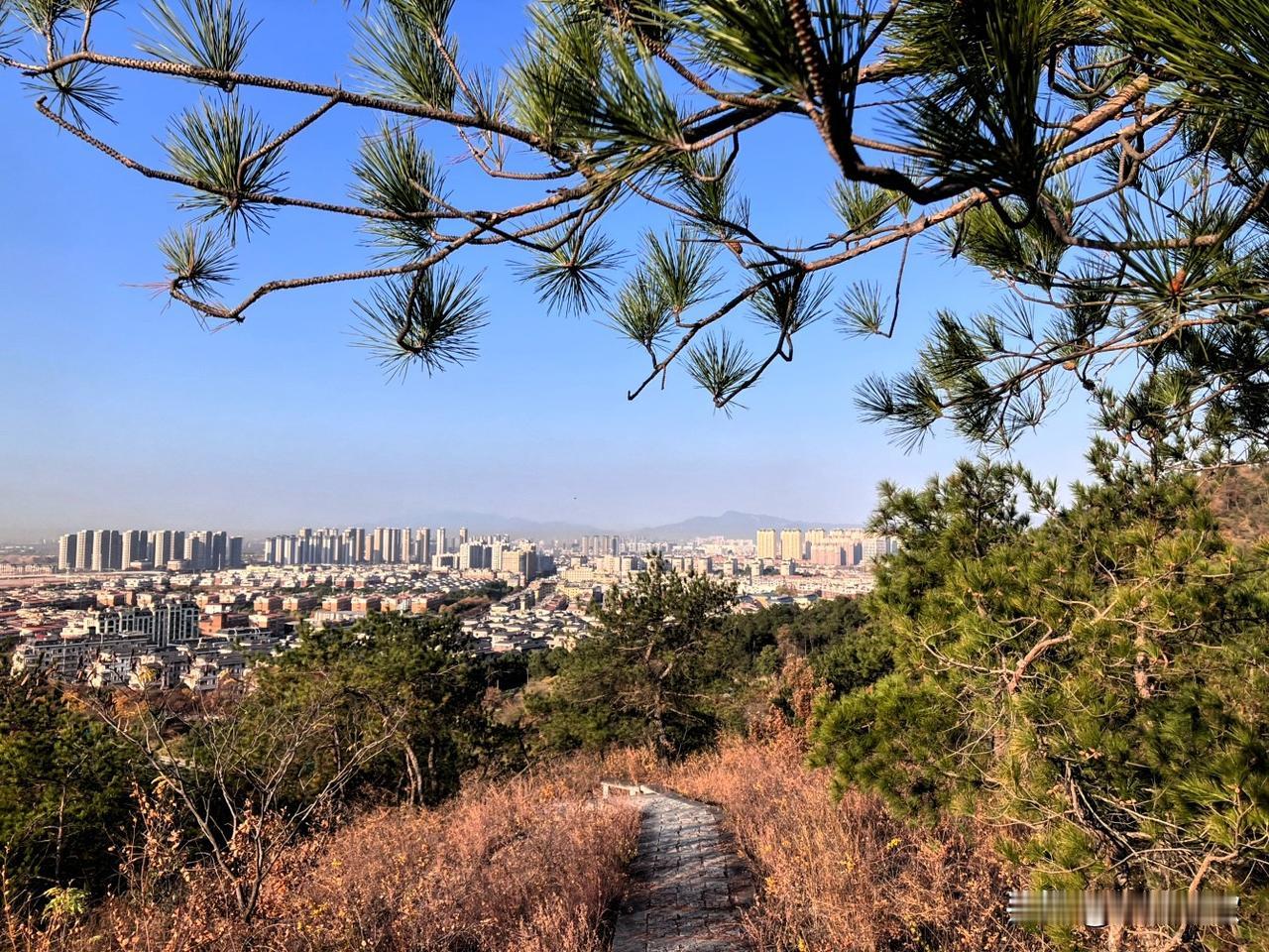 一路山色，随手拍一张风景照