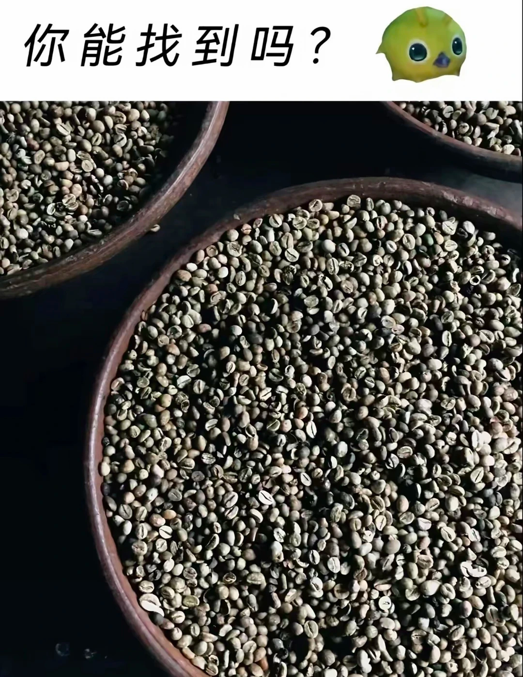 据说世界上只有0.01%的人才能找到 