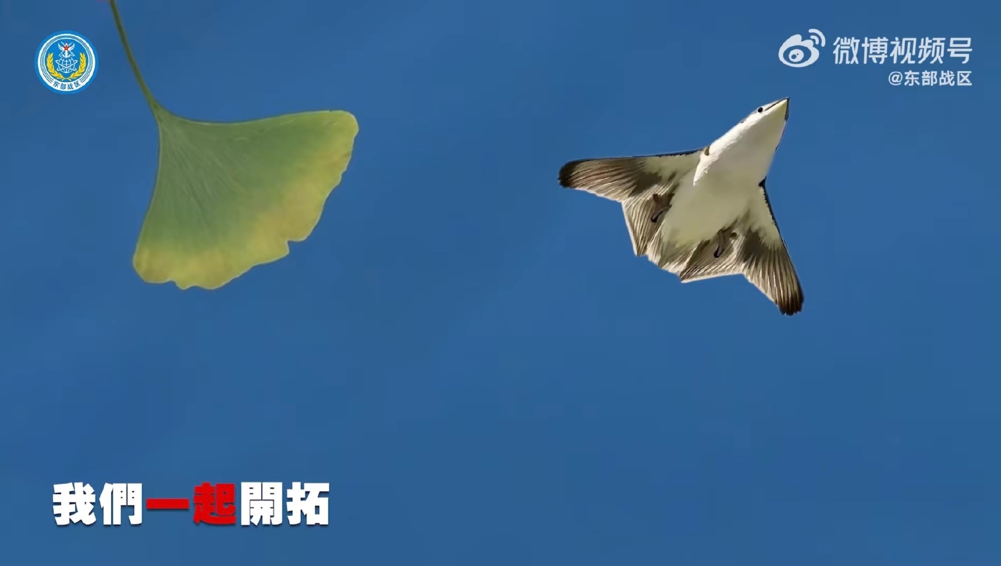 官方整活！ 