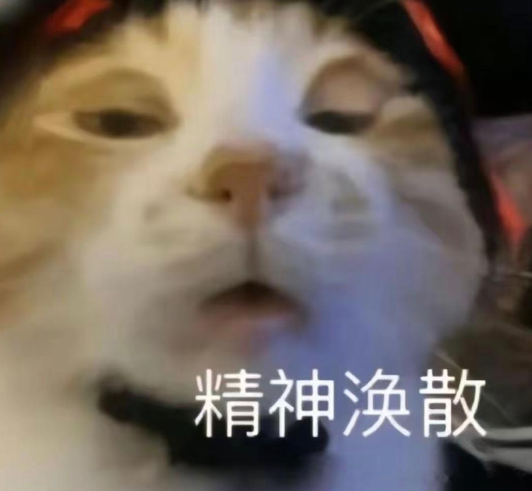 想象中我刚睡醒的样子真的会被朱珠美晕！刚睡醒都这么有气质，慵懒又迷人。天天幻想睡