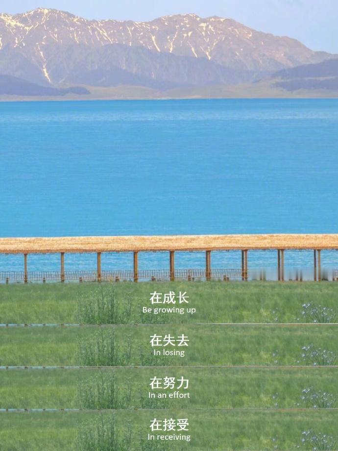 “不争不抢 努力就好” 