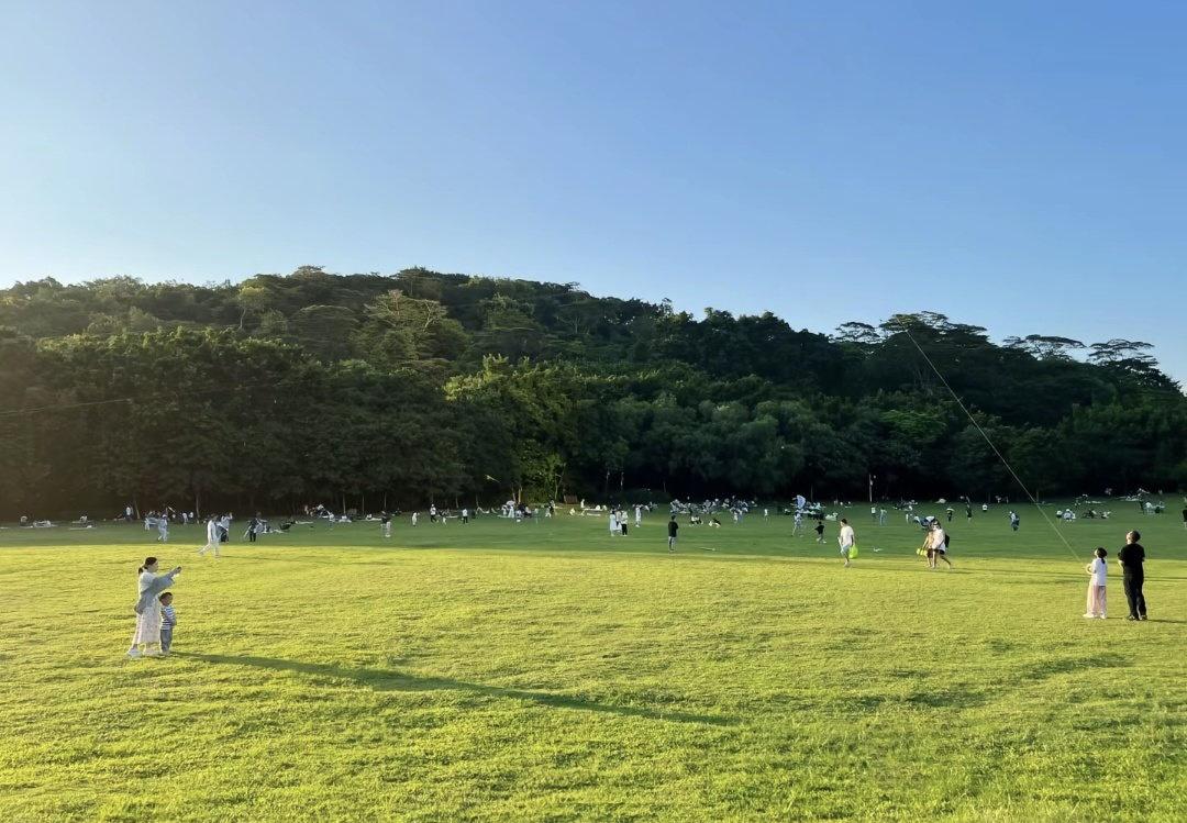 经历本身并不代表复杂度，真正起作用的应该是经历之后的思考、提炼和不断修正，从而让