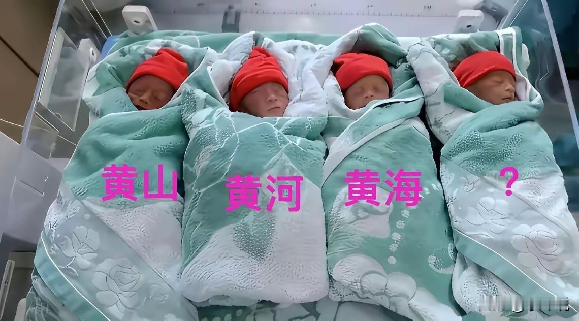 网上一个生了四胞胎父亲求助网友，给第四个孩子起一个名字，黄山，黄河，黄海，黄？
