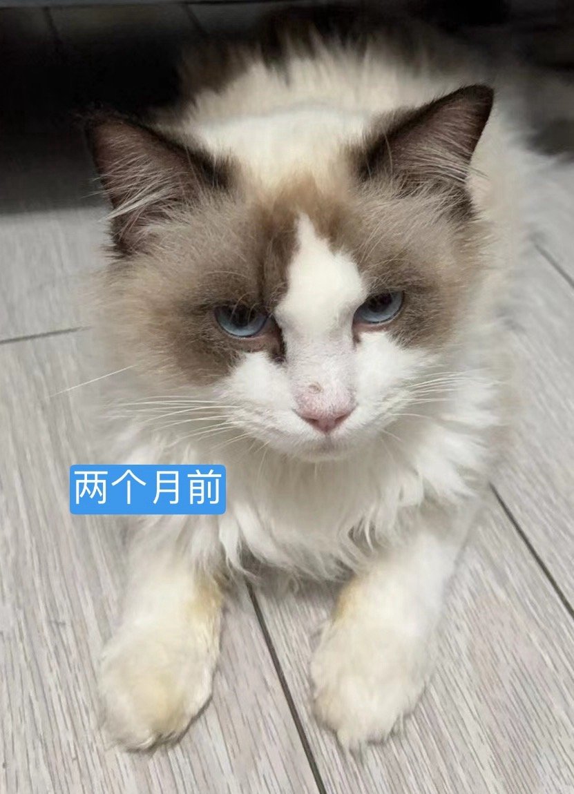 我真的惊了…. 好胖啊现在 真的是胖嘟嘟了哈哈哈哈 ​​​