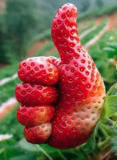 早上5点起床晚上应该几点睡我坚持每天五点起床锻炼身体，晚上九点熄灯睡觉！养成早睡