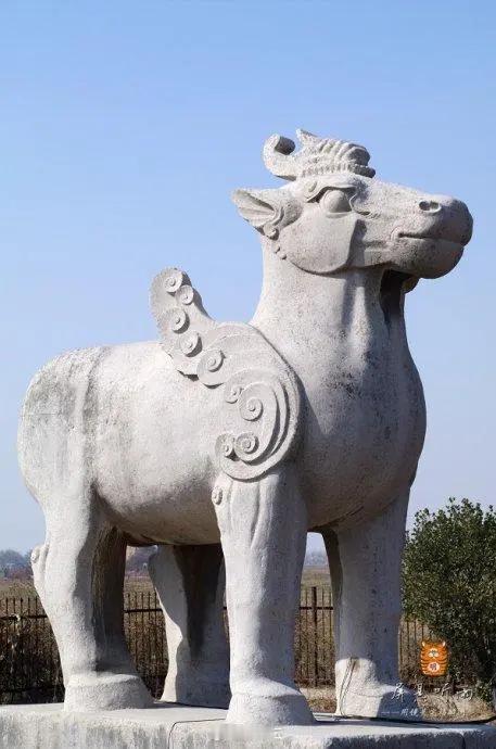 顺陵独角兽🦄才值128元！ ​​​