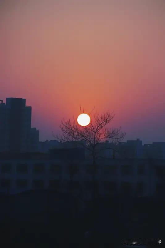 下班路上一抬头，撞见了今天的落日。
 
不是刻意去追的风景，就那么猝不及防地撞进