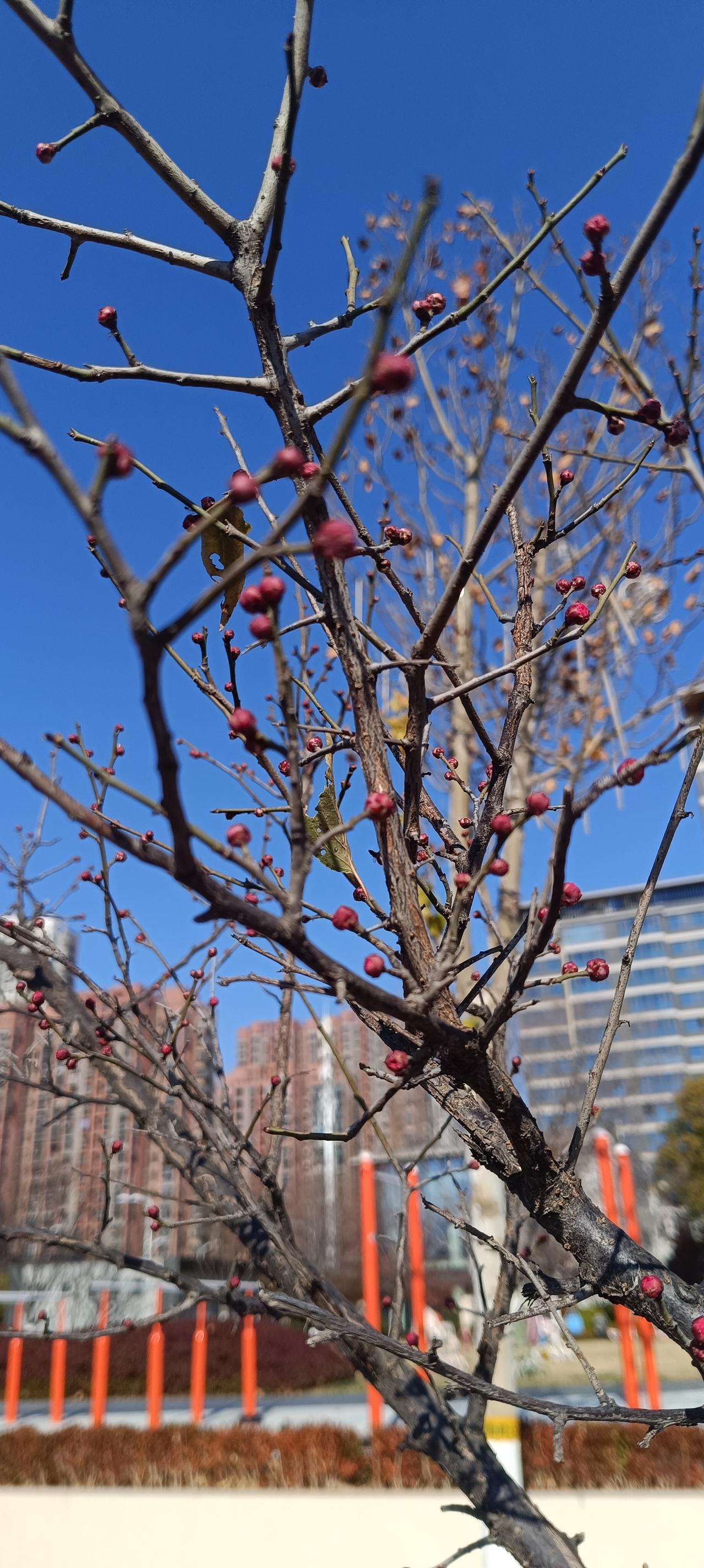 英山就是这么个地方，在安徽和湖北交界的位置，地理上没什么特别让人一下子想到的亮点