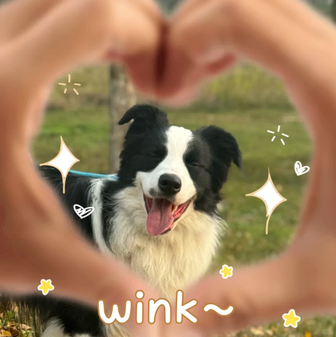 姨姨们周末愉快～