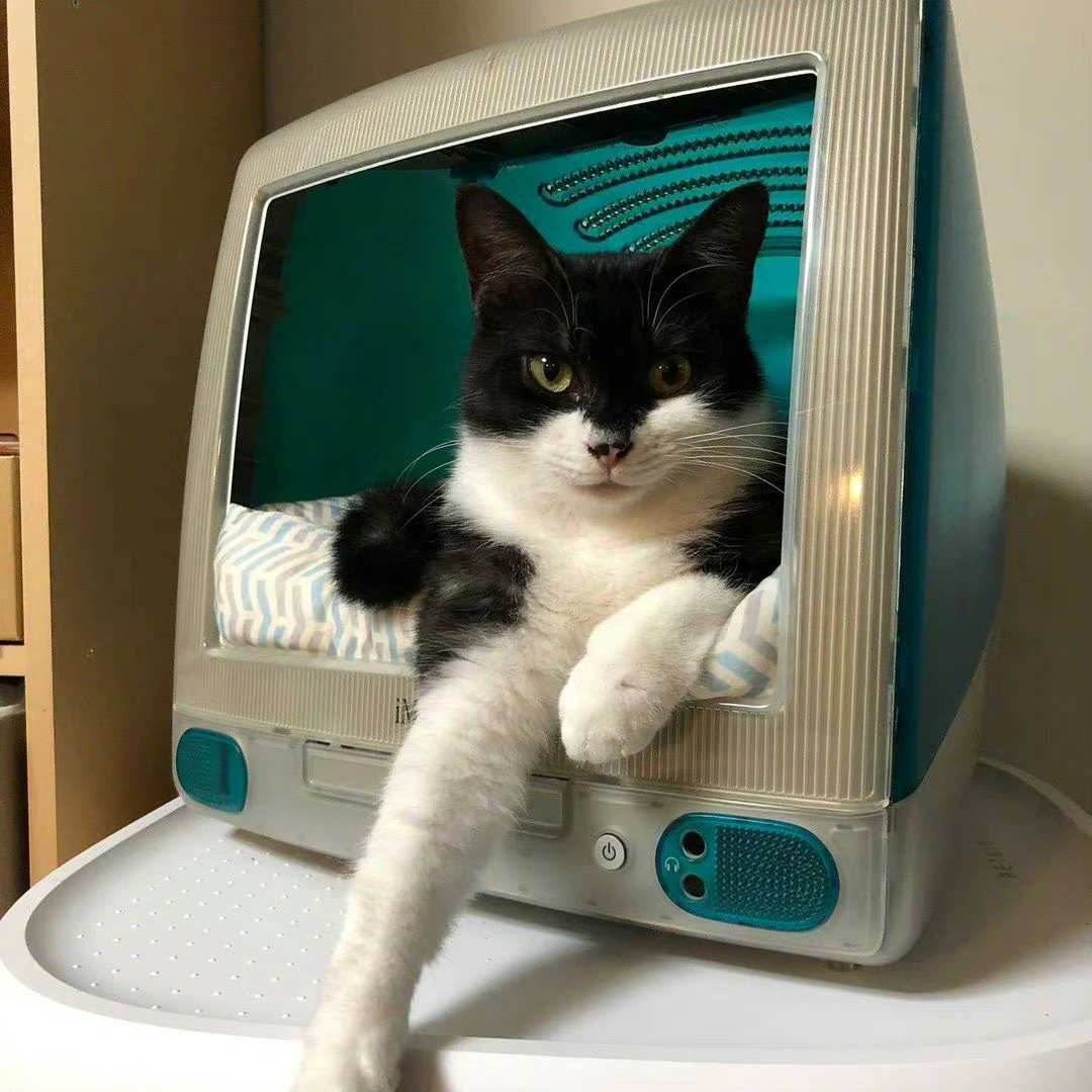 旧电脑改装的猫窝，安全感十足，深得主子喜爱！！