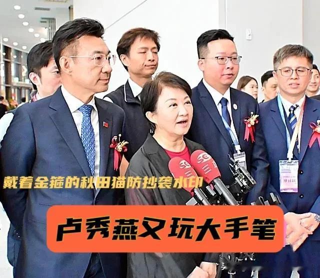 妈妈市长又出大手笔？
卢秀燕重磅表态：无人机要当下一座“护岛神山”，台中市府与外
