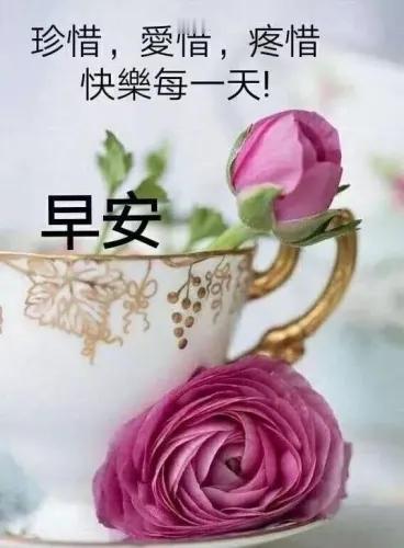 朋友不常见
相聚笑言欢
缘分希珍惜
天天祷平安
愿你生活甜甜蜜蜜、美美满满、顺风