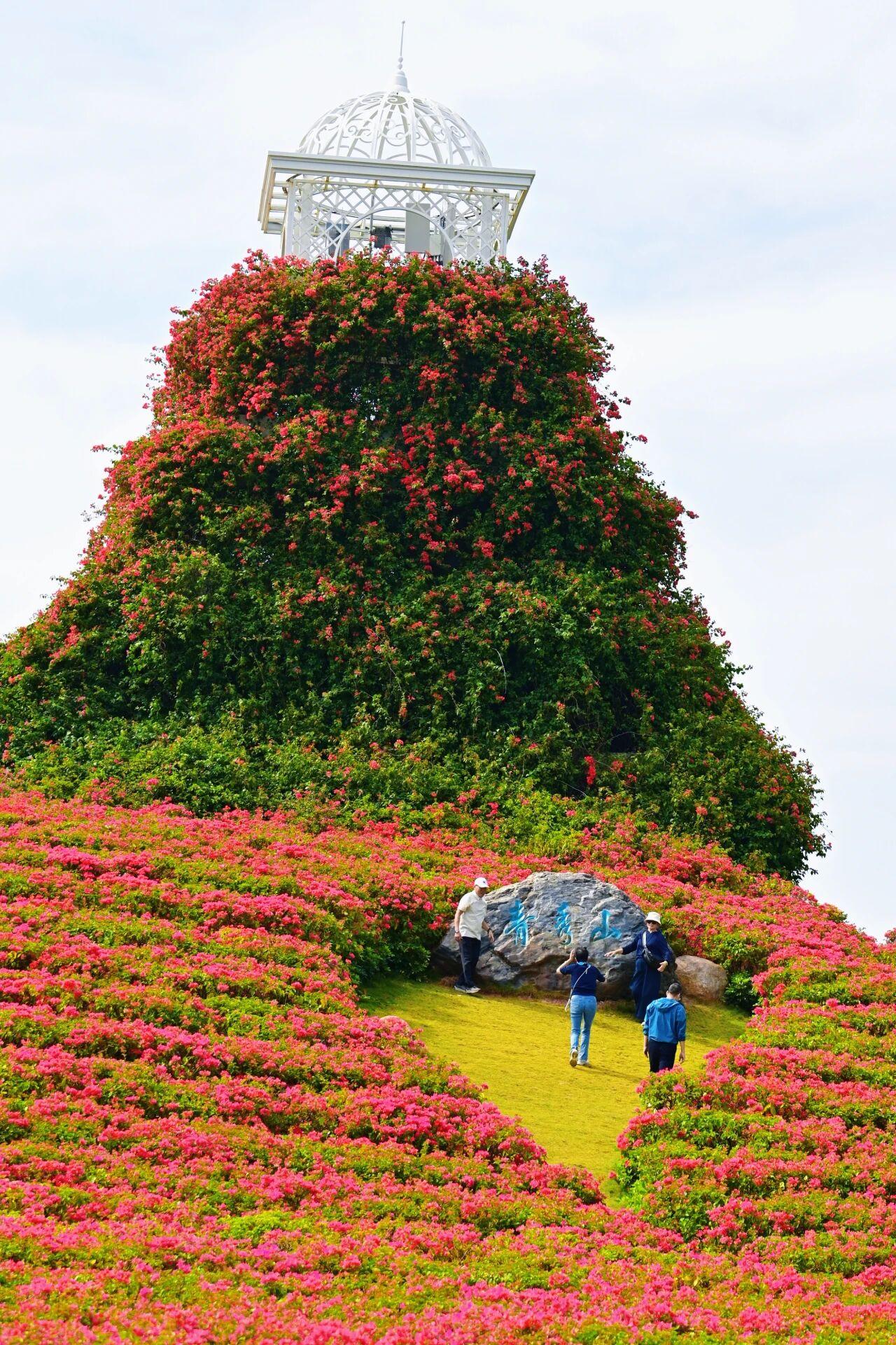 【容貌是天生的，但形象却是后天修炼的】
        容貌是天生的，但形象却是