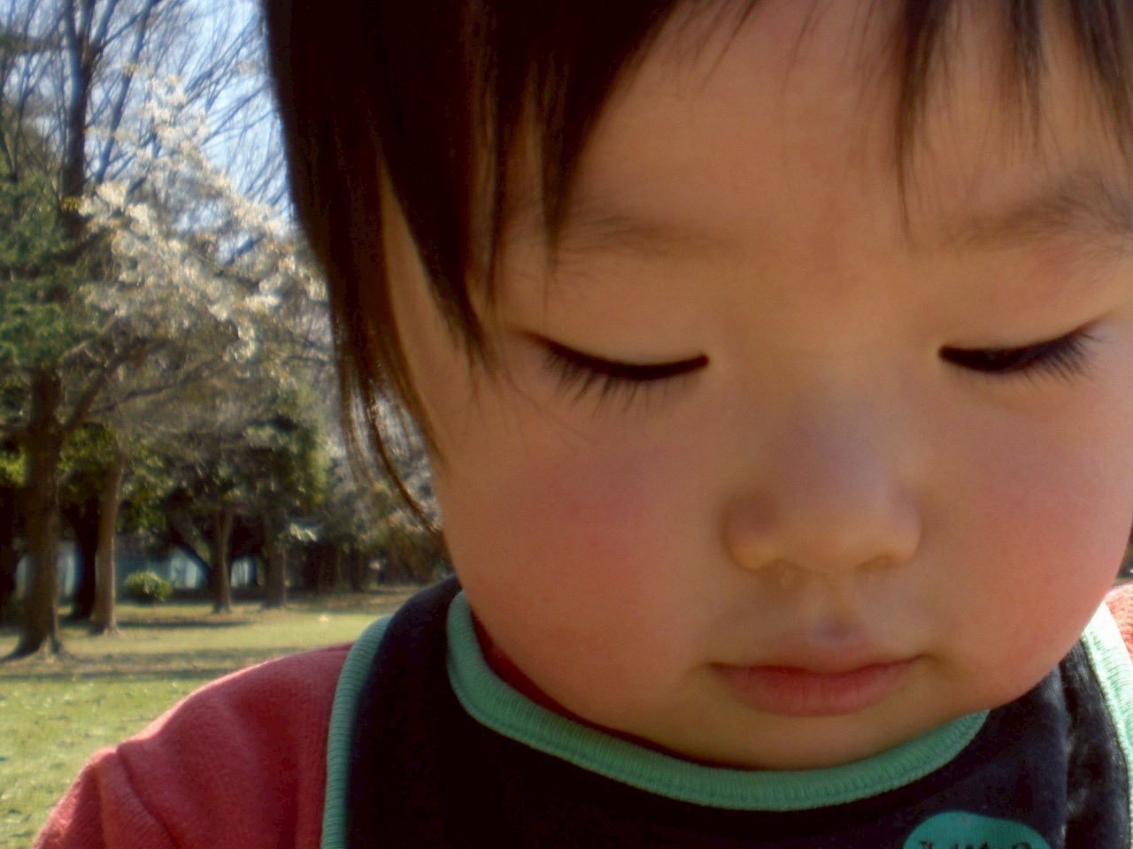 今天终于更新了的NCT WISH Sakuya童年照，等比例长大啦👶 