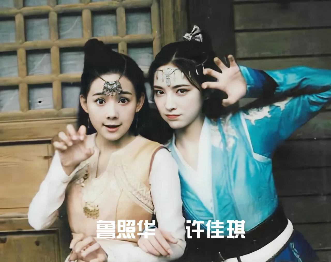 鲁照华，许佳琪