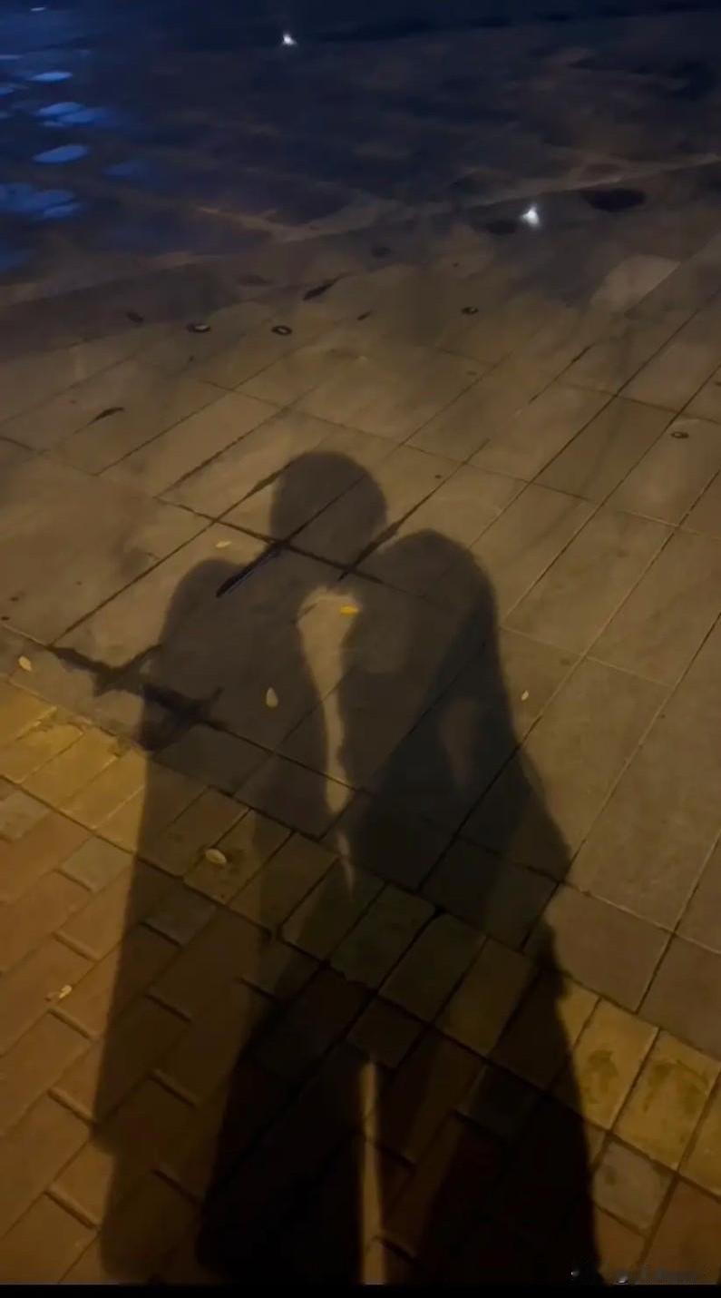 好女人，易受伤
﹍﹍
杨钰莹i，为了赖文峰i，50多岁了至今一个人。
范冰冰为了
