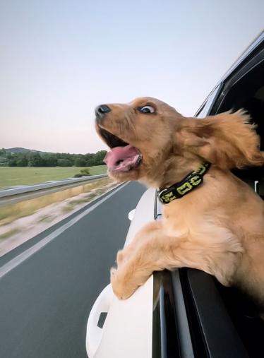 你千年前的老祖宗是做什么的，答案就藏在你的姓氏里。

姓魏、吴、赵的，祖上曾是一