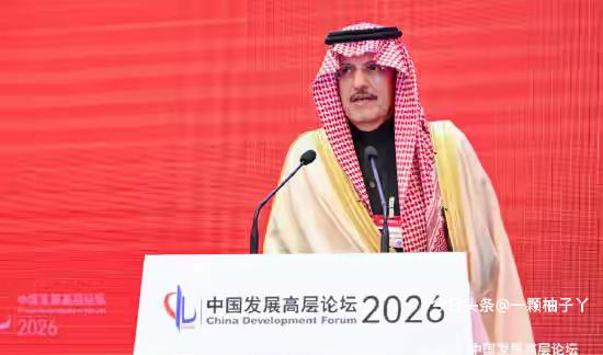 沙特国际电力和水务公司创始人穆罕默德·阿布纳扬，在中国发展高层论坛上直言：没有中