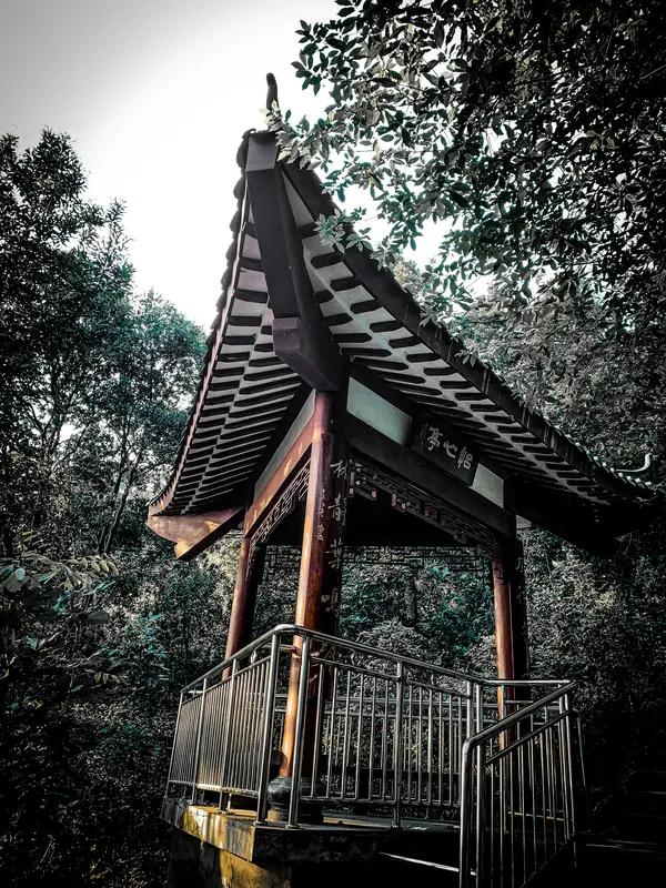 上联：幽亭傍水莲初放；
下联：小径穿林风自来。