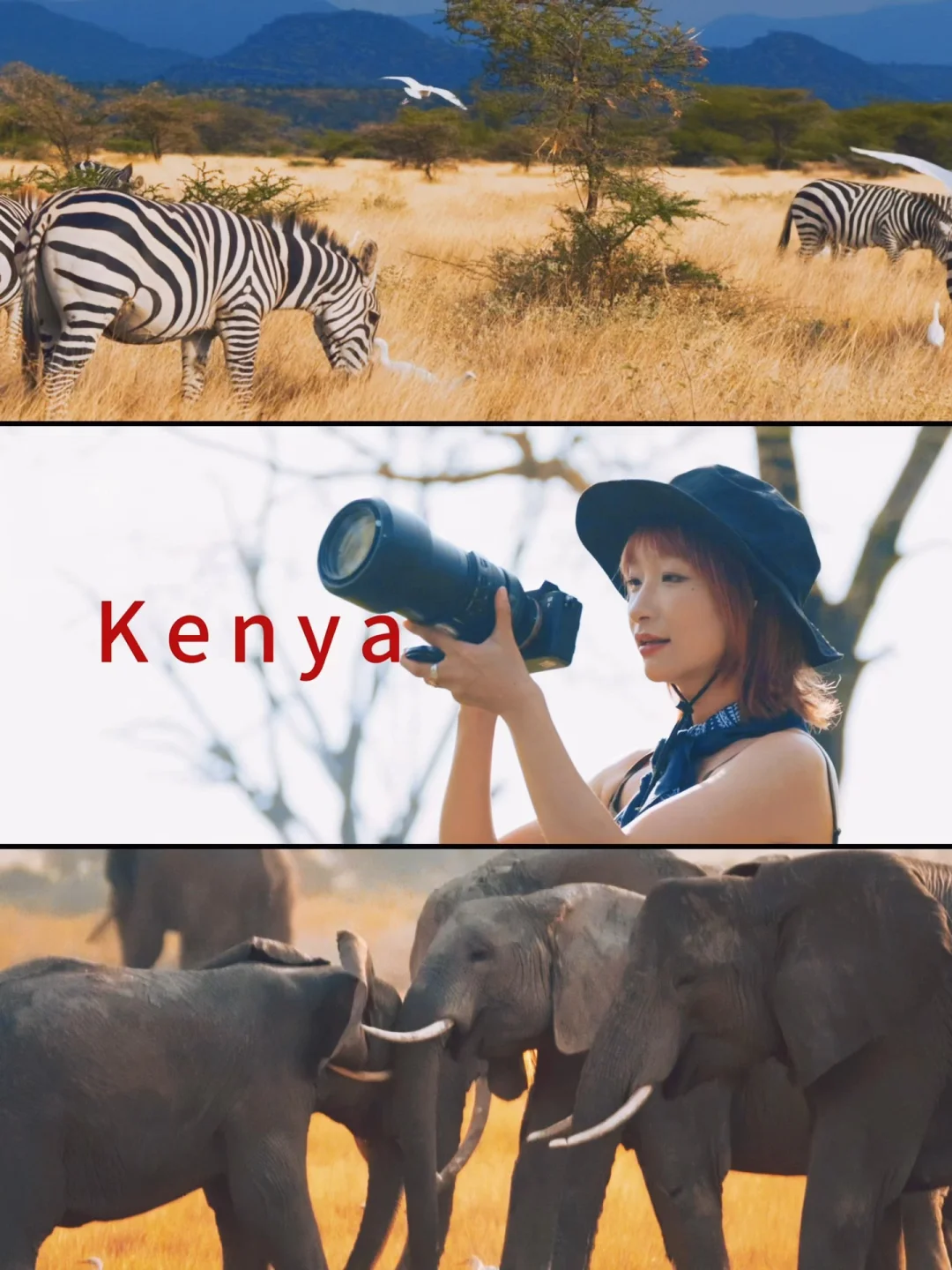 淡季肯尼亚，我拍到了《疯狂动物城》🦓🦒