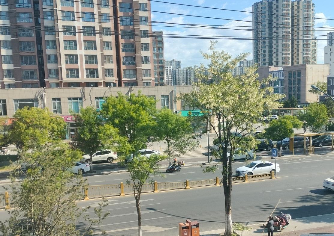 有不少人采摘榆树钱尝鲜本无可厚非，都是图份时令美味。可这位女子做法实在不妥，因树