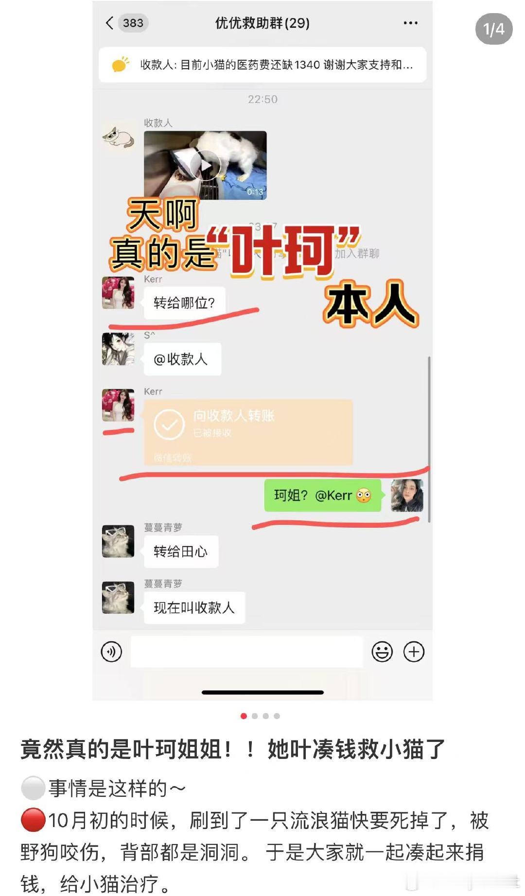 #叶珂救助流浪猫# 有网友爆料叶珂救助流浪猫，其实人本来就是多面的 她能帮助小猫