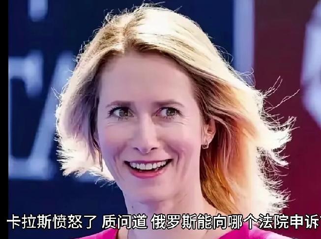 卡拉斯怒斥比利时：为什么不敢动用俄罗斯被冻结的主权资产？
俄罗斯在欧洲各国都有主