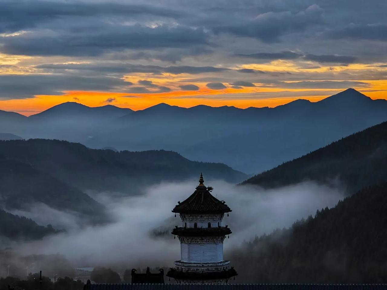 花不语，风却懂。有些人来了又去，有些人近了又远。你看匆匆一年又是秋。
一个转身，