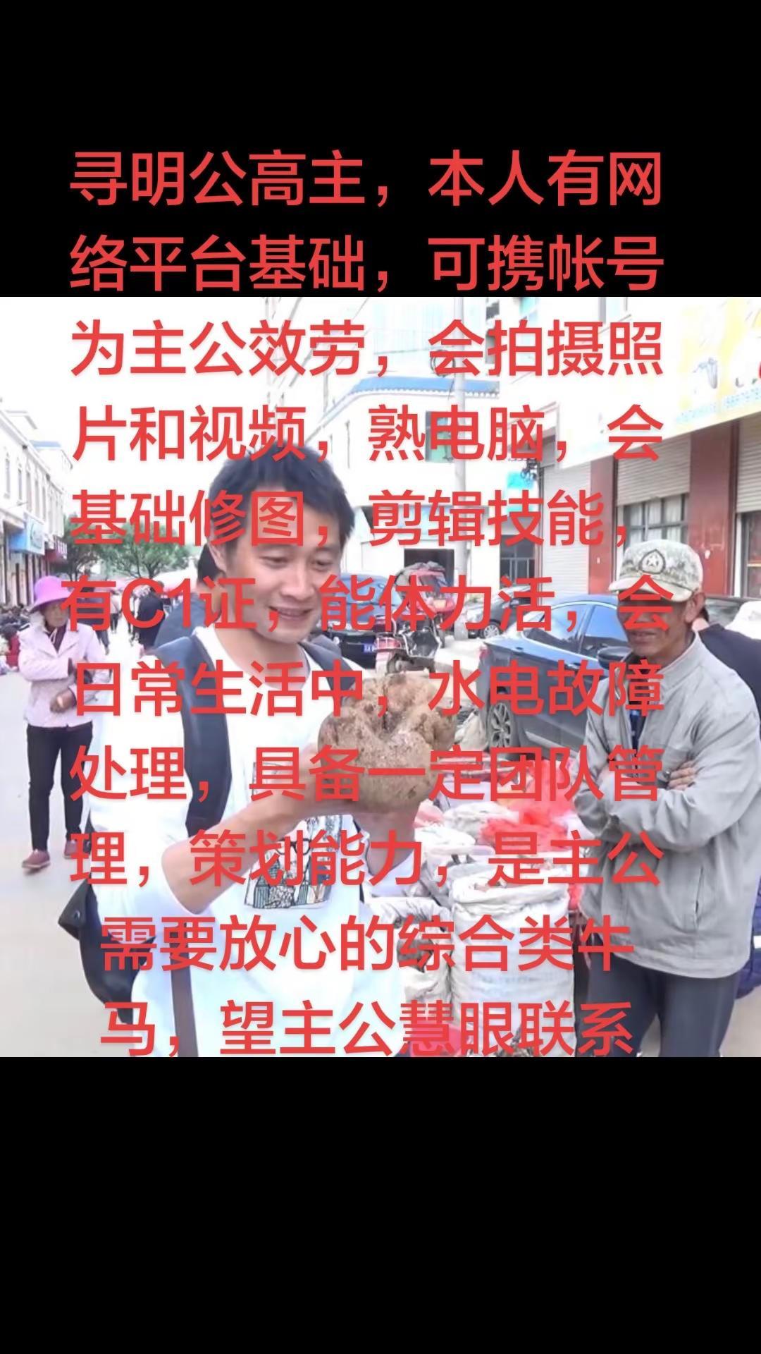 我这样的有老板要吗？需要牛马的老板看看我。找工作