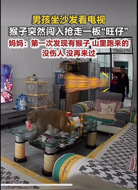 "胆子也太大了！"5月12日报道，贵州贵阳，一男孩坐在家中的沙发上看电视，突然间