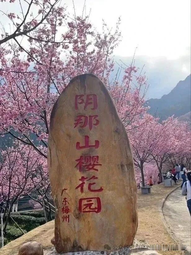 生活的糖，从不是等来的馈赠，而是自己亲手添加才最甜。把温柔留给自己，把美好藏进日