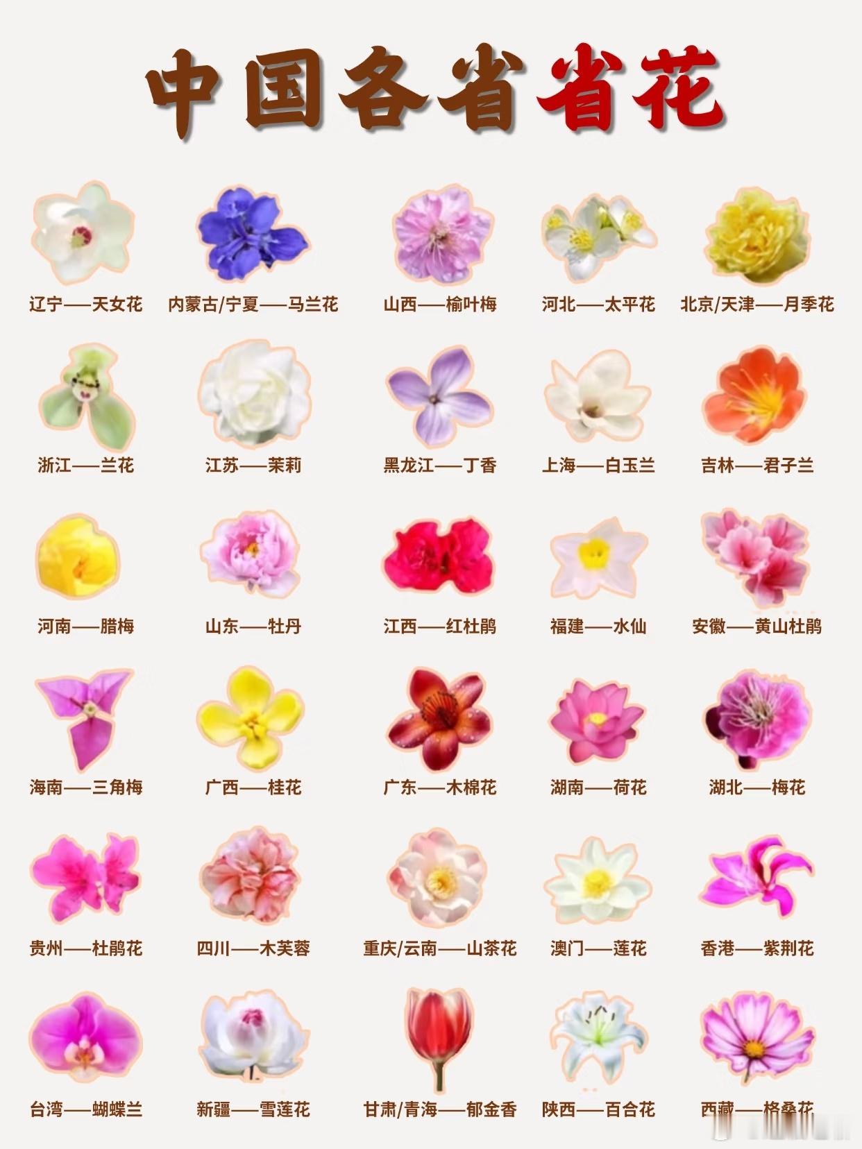 全国各省的省花，估计大部分人都不知道吧？ 