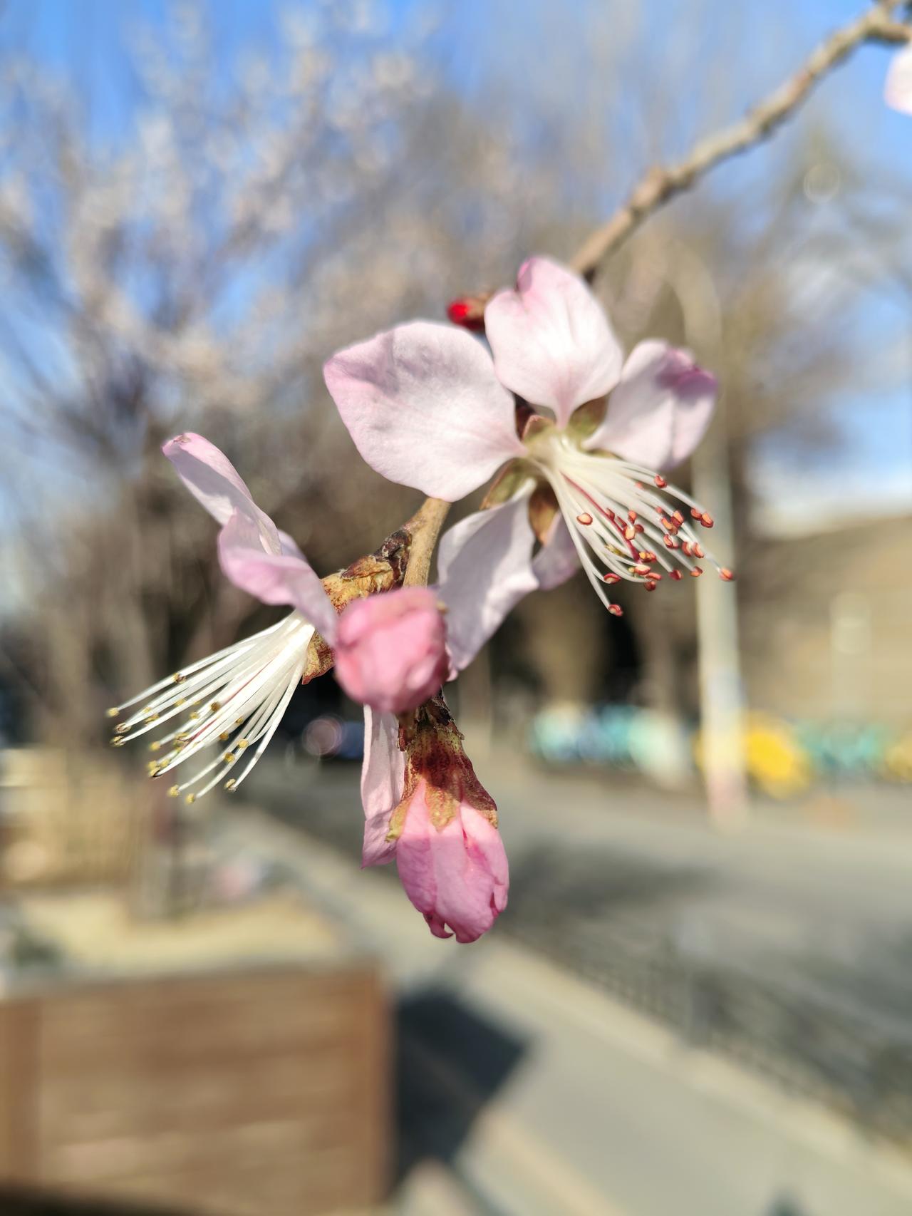 发个头条问声好，亲朋好友勿忘掉。人到夕阳心别老，开心快乐兴致高。钱多钱少不重要，