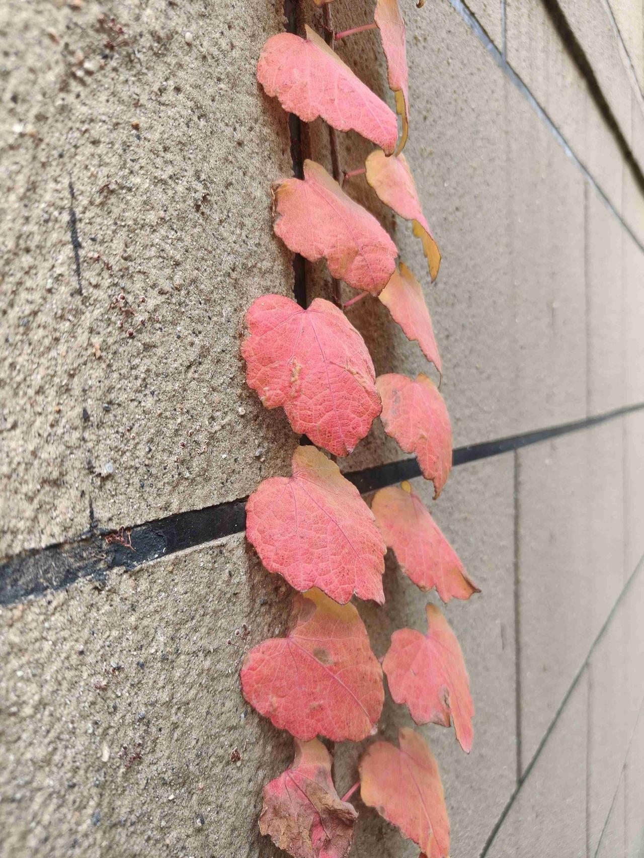 我的今日状态：💰期待暴富
我这里的天气：🍂微风