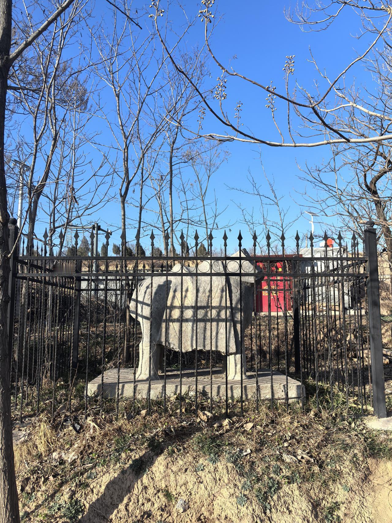 一千多年了，周围村庄的人换了多少茬了，但是唐简陵北门的石刻依然静静矗立。
石狮，