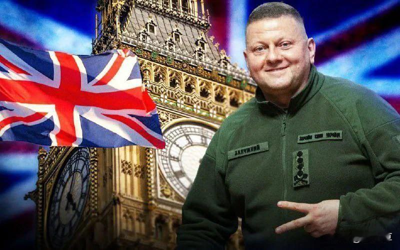 扎卢日内即将返回乌克兰！

据 Radio NV 援引政治和外交界的四位消息人士